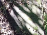 image of grave number 682075